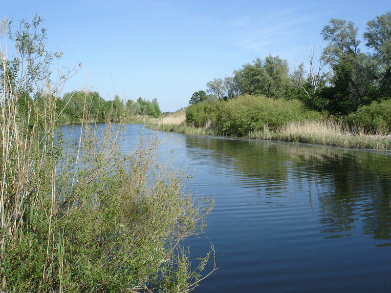 Государственный водный реестр: река Таналык